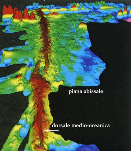 2. Rilevamento in 3D del fondo attuale dell'Oceano Pacifico. Le parti più elevate sono in marrone, quelle in blu le più depresse. Da Robert e Bousquet, 2013.