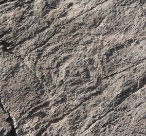 Fig. 11 - Figura a cerchi concentrici sullo specchio di faglia in serpentinite presso il Castello di Chenal (Montjovet).