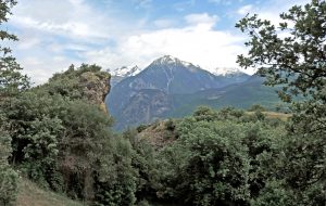 5.Vollein, vista da nord. A sinistra la parete ancora in posto, verso destra il dosso roccioso levigato dal ghiacciaio quaternario, sprofondato di qualche decina di metri.