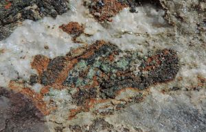 10. Minerali del vecchio fondo oceanico ricristallizzati a grande profondità: pirosseno sodico (verde), rutilo (nero), carbonato di ferro (arancio), mica (argentea) e quarzo (bianco).