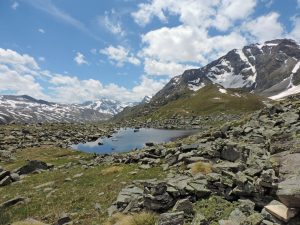 5. Settore sud