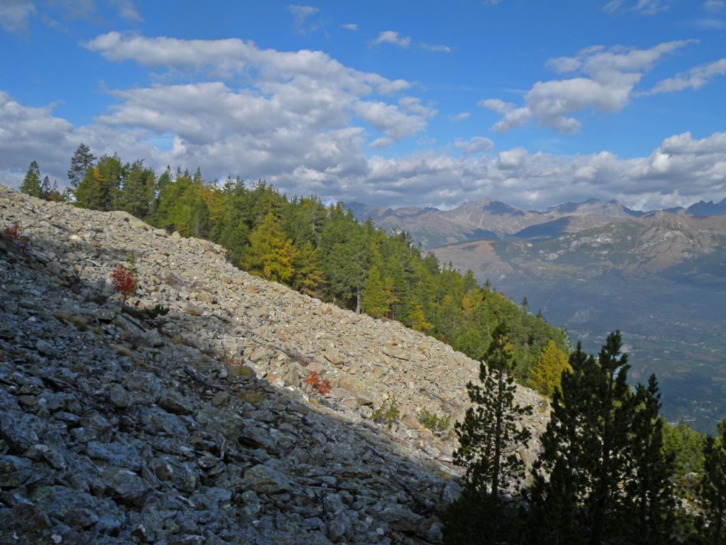 4. Ghiabiou