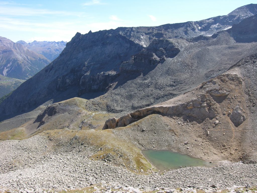 1. Pietraie d'altitudine