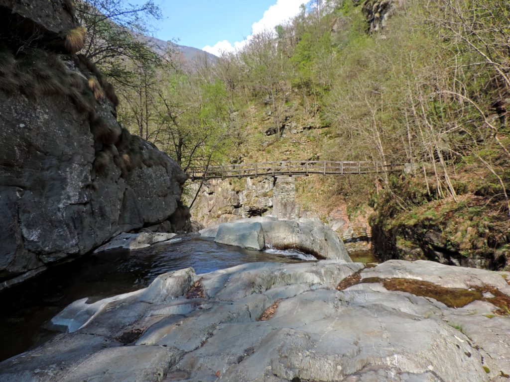 12. Ponticello