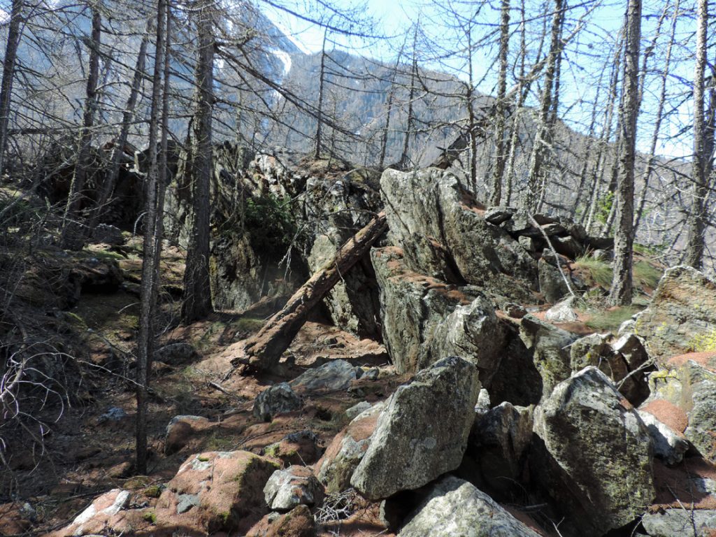 Fronte di cava