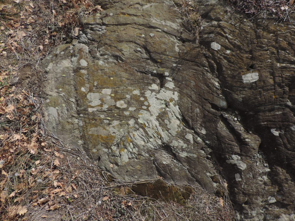 Pieghe e strie